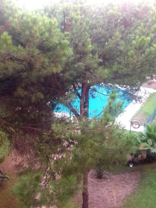 Precioso Estudio Con Piscina A 200M Del Mar Marbella Kültér fotó